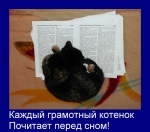 Каждый грамотный котенок Почитает перед сном!